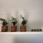 Apartamento Op Het Gelijkvloers Met Tuintje Nabij