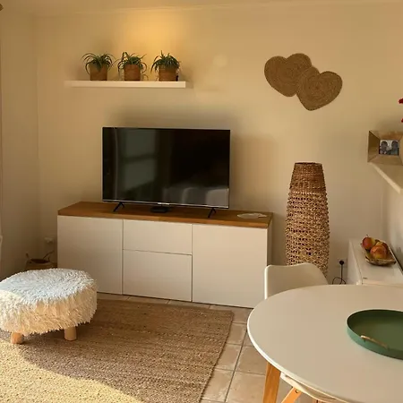 Op Het Gelijkvloers Met Tuintje Nabij *