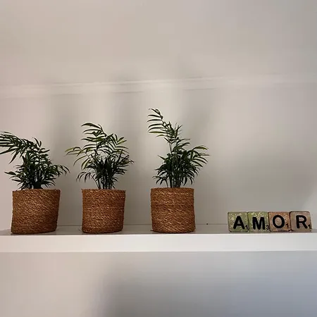 Apartamento Op Het Gelijkvloers Met Tuintje Nabij